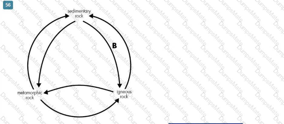 Integrated-Physical-Sciences Question 20